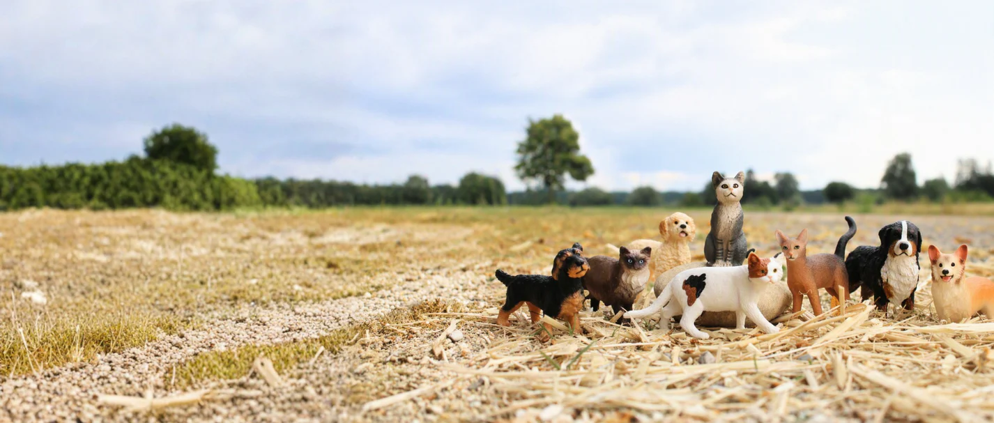 L'aventure commence avec Schleich®