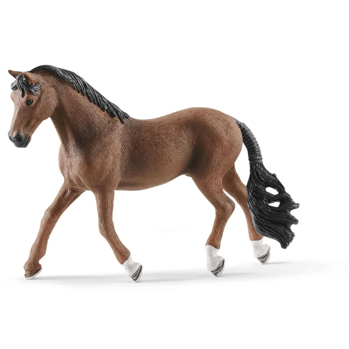 HORSE CLUB